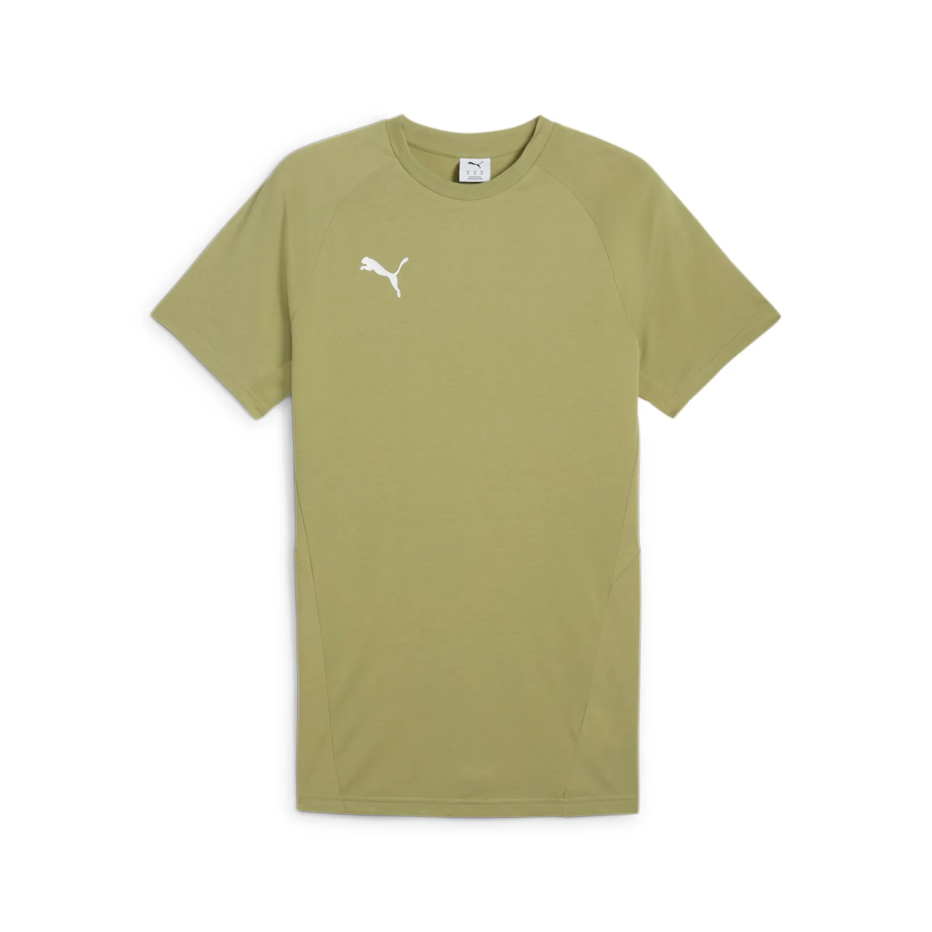 Puma teamEvostripe T-Shirt