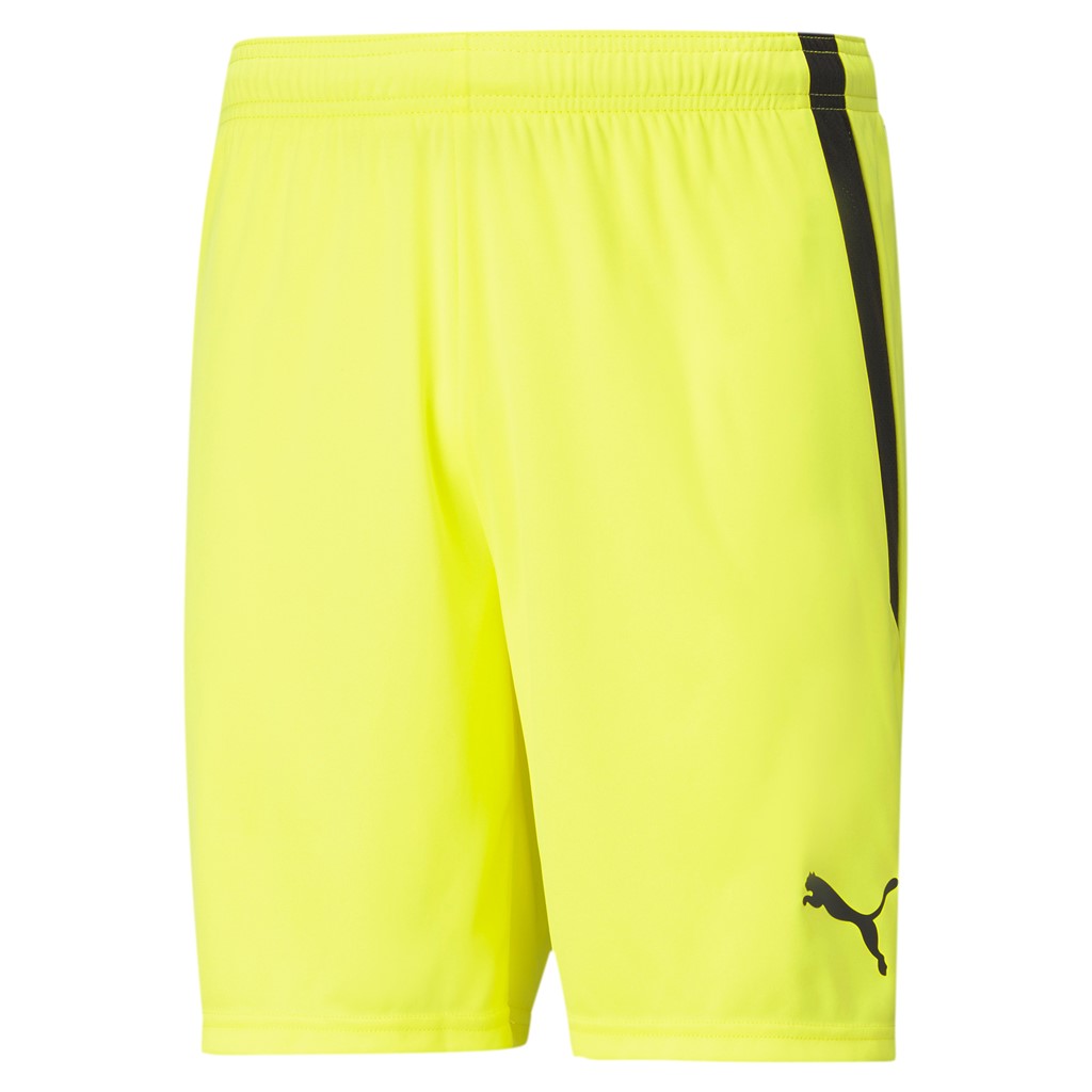 Puma teamLIGA Shorts