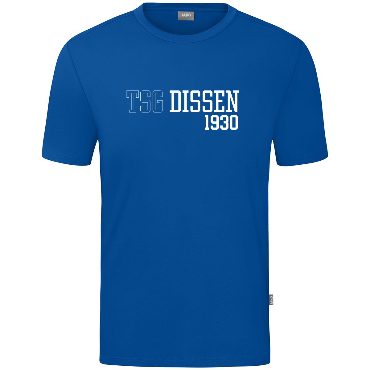 Fanshirt  TSG Dissen
