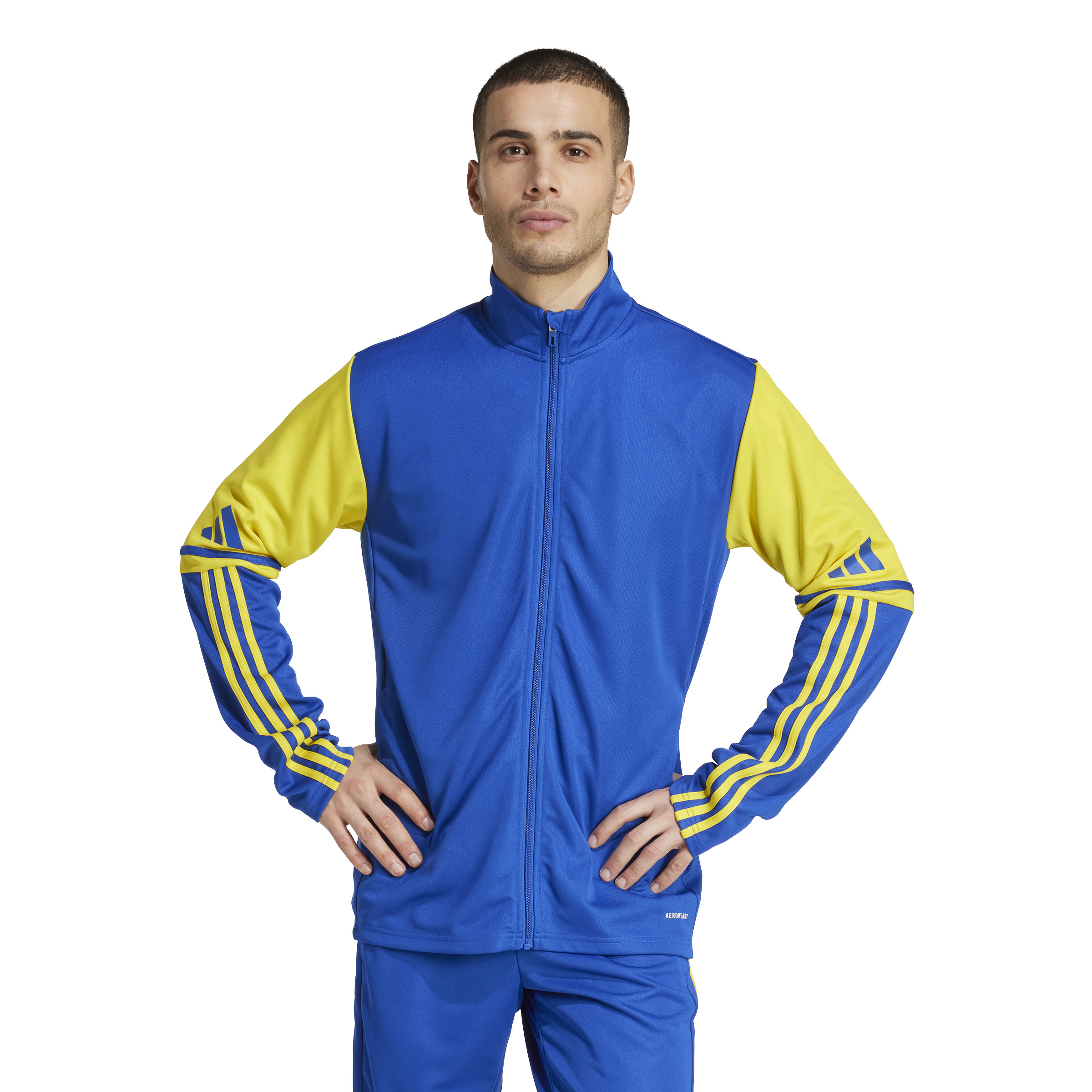 Adidas Trainingsjacke Squadra 25