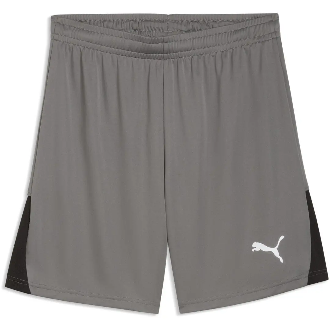Puma teamLiga 26 Shorts