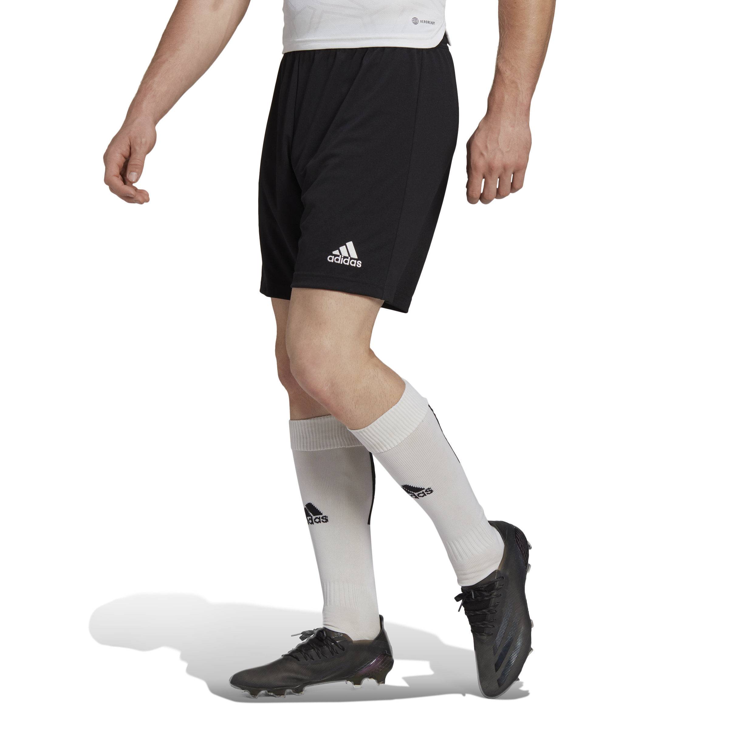 Adidas Short Entrada 22